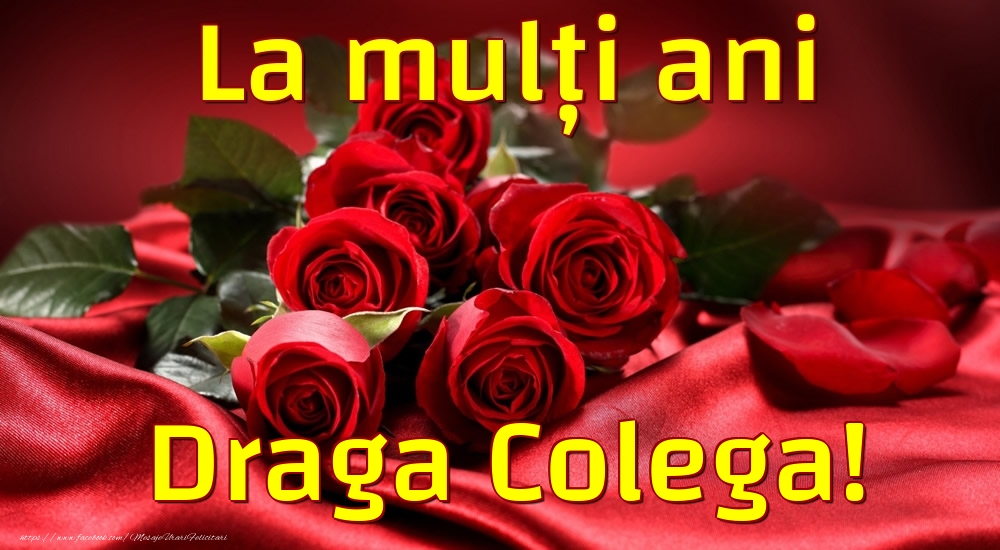 Felicitari de la multi ani pentru Colega - La mulți ani draga colega!