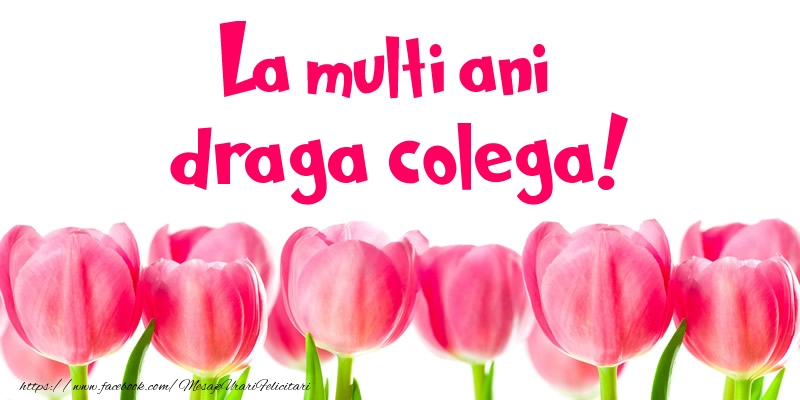 Felicitari de la multi ani pentru Colega - La multi ani draga colega!