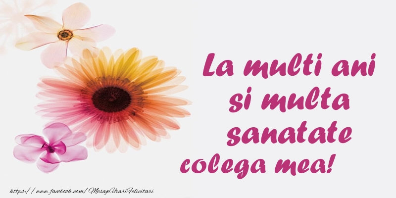 Felicitari de la multi ani pentru Colega - La multi ani si multa sanatate colega mea!