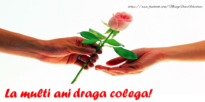 Felicitari de la multi ani pentru Colega - La multi ani draga colega!