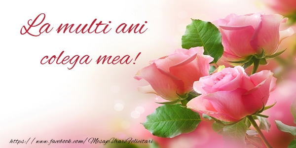 Felicitari de la multi ani pentru Colega - La multi ani colega mea!