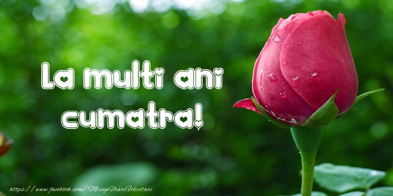 Felicitari de la multi ani pentru Cumatra - La multi ani cumatra!