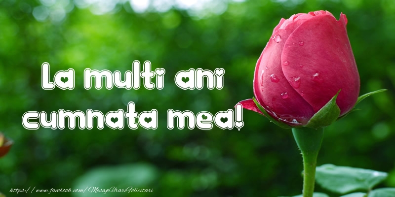 Felicitari de la multi ani pentru Cumnata - La multi ani cumnata mea!