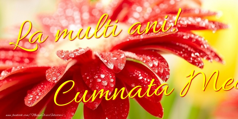 Felicitari de la multi ani pentru Cumnata - La multi ani! cumnata mea