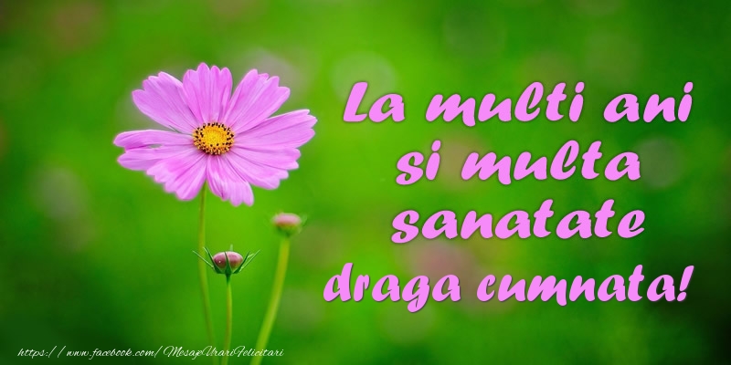 Felicitari de la multi ani pentru Cumnata - La multi ani si multa sanatate draga cumnata!