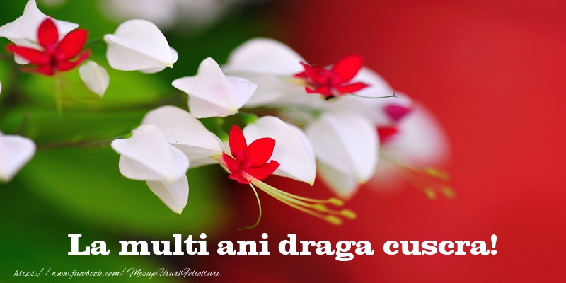 Felicitari de la multi ani pentru Cuscra - La multi ani draga cuscra!