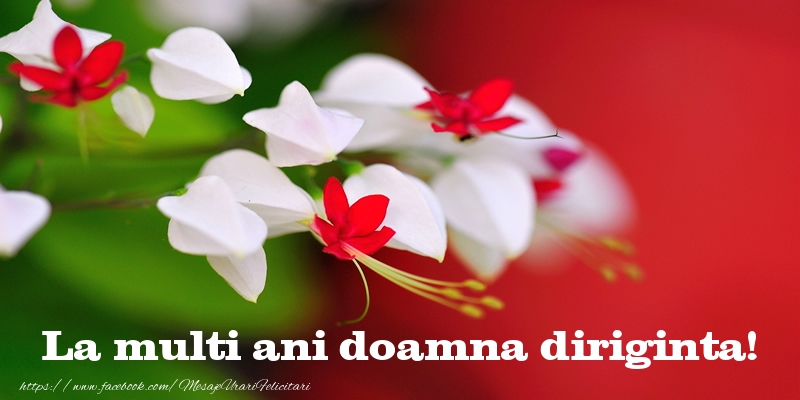 Felicitari de la multi ani pentru Diriginta - La multi ani doamna diriginta!