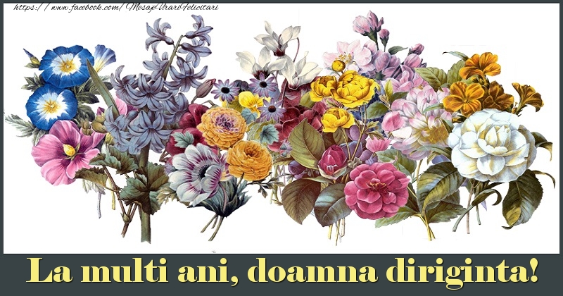 Felicitari de la multi ani pentru Diriginta - La multi ani, doamna diriginta!