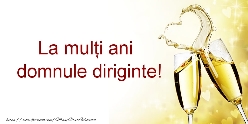 Felicitari de la multi ani pentru Diriginte - La multi ani domnule diriginte!