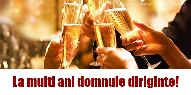 Felicitari de la multi ani pentru Diriginte - La multi ani domnule diriginte!