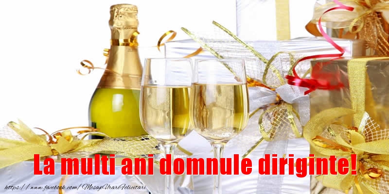 Felicitari de la multi ani pentru Diriginte - La multi ani domnule diriginte!