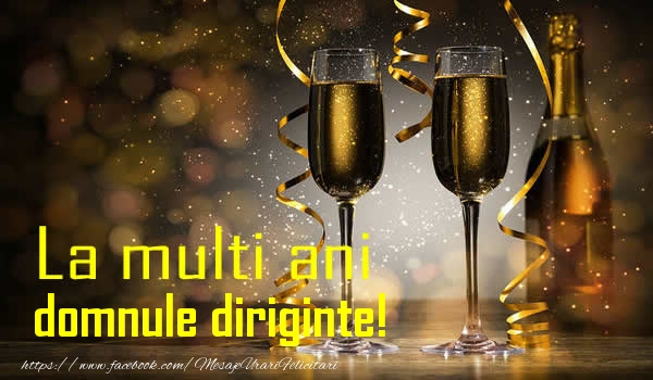Felicitari de la multi ani pentru Diriginte - La multi ani domnule diriginte!