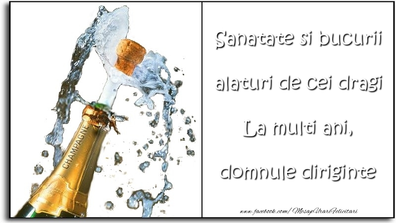 Felicitari de la multi ani pentru Diriginte - Sanatate si bucurii alaturi de cei dragi La multi ani, domnule diriginte