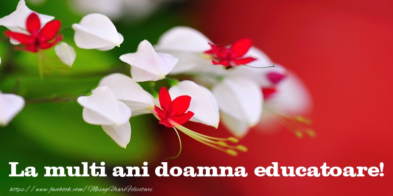 Felicitari de la multi ani pentru Educatoare - La multi ani doamna educatoare!