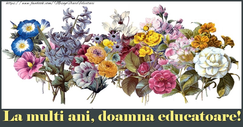 Felicitari de la multi ani pentru Educatoare - La multi ani, doamna educatoare!