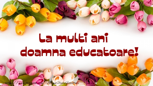 Felicitari de la multi ani pentru Educatoare - La multi ani doamna educatoare!