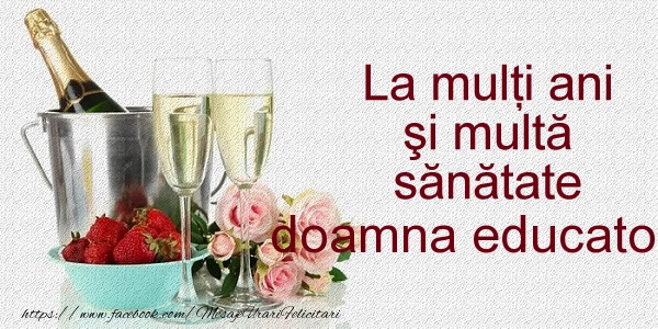 Felicitari de la multi ani pentru Educatoare - La multi ani si multa sanatate doamna educatoare!