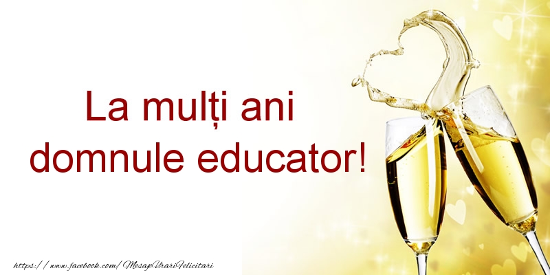 Felicitari de la multi ani pentru Educator - La multi ani domnule educator!