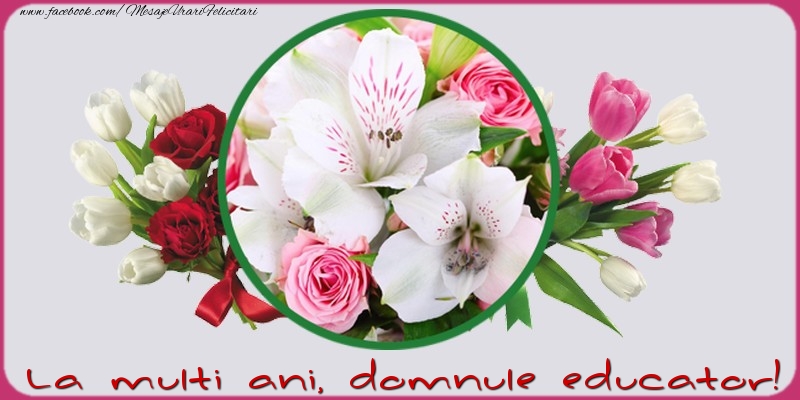 Felicitari de la multi ani pentru Educator - La multi ani, domnule educator!