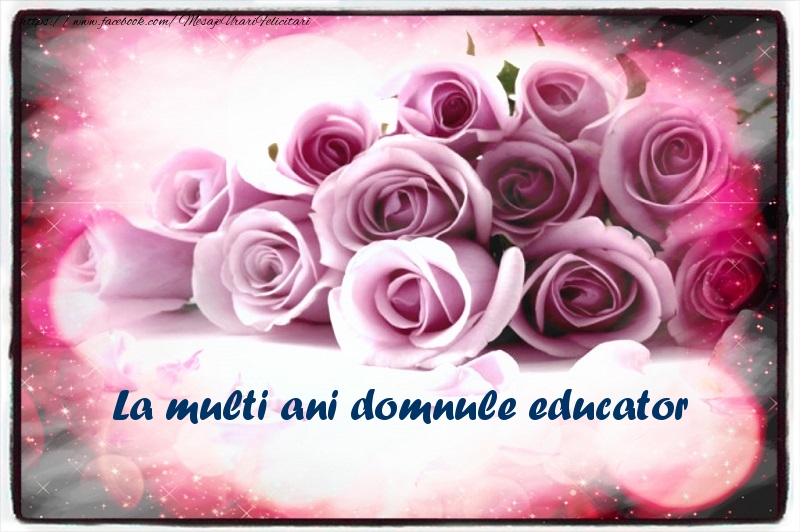 Felicitari de la multi ani pentru Educator - La multi ani domnule educator