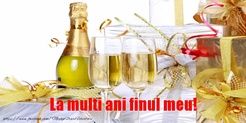 Felicitari de la multi ani pentru Fin - La multi ani finul meu!