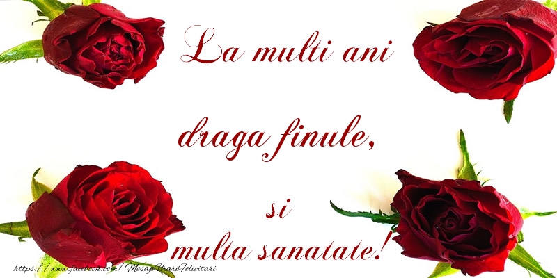 Felicitari de la multi ani pentru Fin - La multi ani! draga finule Sanatate multa!