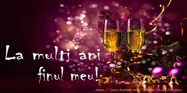 Felicitari de la multi ani pentru Fin - La multi ani finul meu!