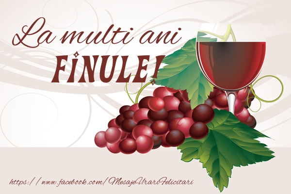 Felicitari de la multi ani pentru Fin - La multi ani finul meu!