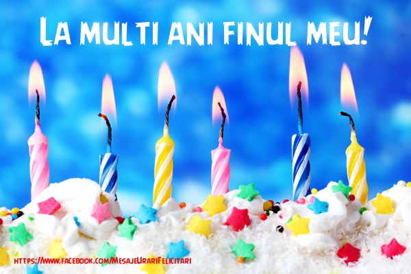 Felicitari de la multi ani pentru Fin - La multi ani finul meu!