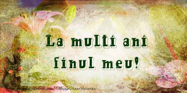 Felicitari de la multi ani pentru Fin - La multi ani finule!