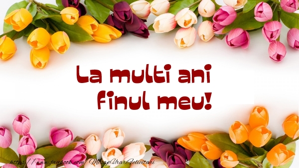 Felicitari de la multi ani pentru Fin - La multi ani draga finule!