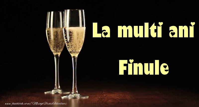 Felicitari de la multi ani pentru Fin - La multi ani finule