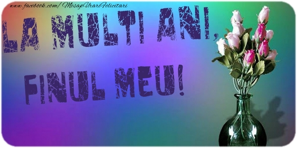 Felicitari de la multi ani pentru Fin - La multi ani, finul meu