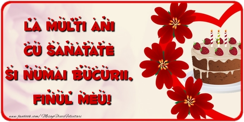 Felicitari de la multi ani pentru Fin - La multi ani cu sanatate si numai bucurii, finul meu