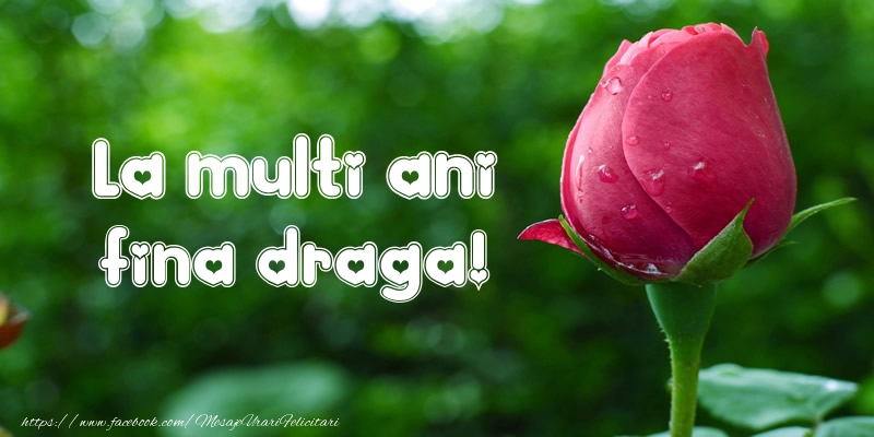 Felicitari de la multi ani pentru Fina - La multi ani fina draga!