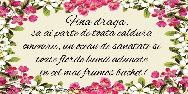 Felicitari de la multi ani pentru Fina - Fina draga, sa ai parte de toata caldura omenirii, un ocean de sanatate si toate florile lumii adunate in cel mai frumos buchet!