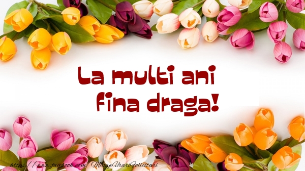 Felicitari de la multi ani pentru Fina - La multi ani fina draga!
