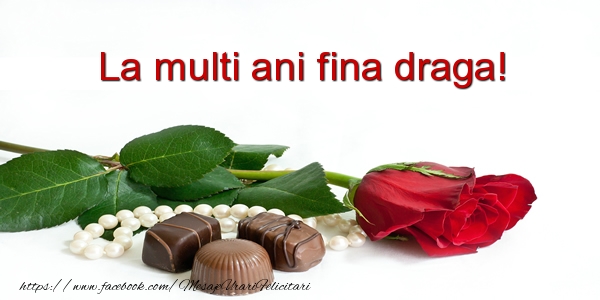 Felicitari de la multi ani pentru Fina - La multi ani fina draga!