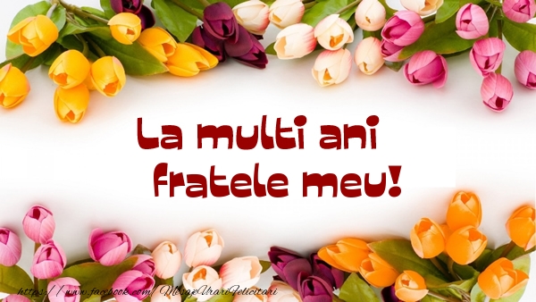 Felicitari de la multi ani pentru Frate - La multi ani fratele meu!