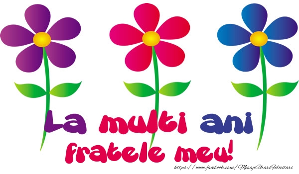 Felicitari de la multi ani pentru Frate - La multi ani fratele meu!