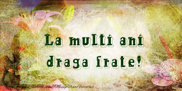 Felicitari de la multi ani pentru Frate - La multi ani draga frate!