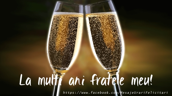 Felicitari de la multi ani pentru Frate - La multi ani fratele meu!