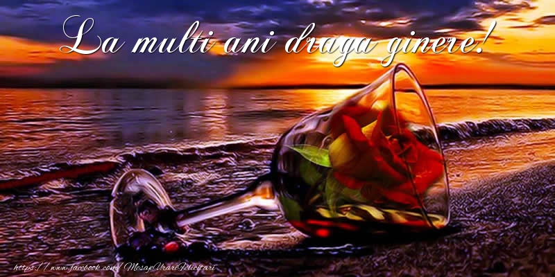 Felicitari de la multi ani pentru Ginere - La multi ani draga ginere!