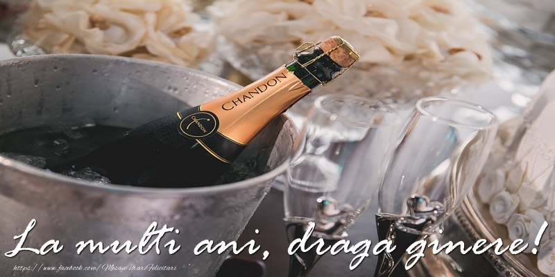 Felicitari de la multi ani pentru Ginere - La multi ani, draga ginere!