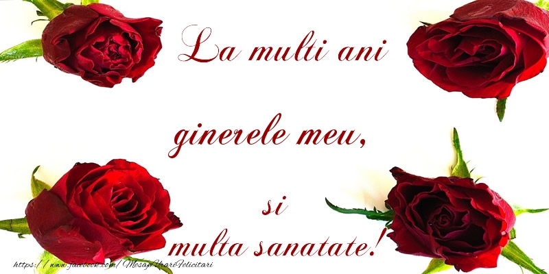 Felicitari de la multi ani pentru Ginere - La multi ani! ginerele meu Sanatate multa!