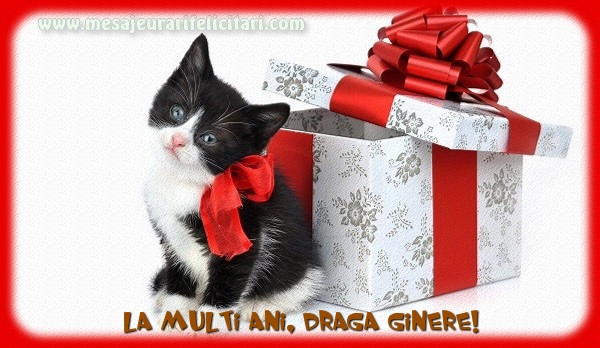 Felicitari de la multi ani pentru Ginere - La multi ani, draga ginere!