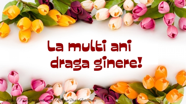 Felicitari de la multi ani pentru Ginere - La multi ani draga ginere!