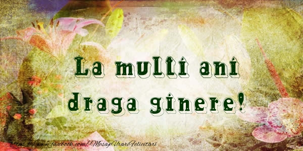Felicitari de la multi ani pentru Ginere - La multi ani draga ginere!