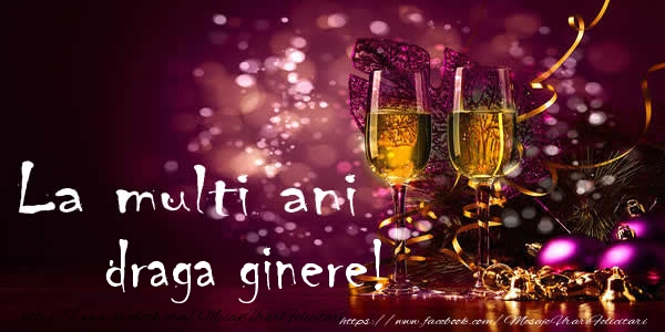 Felicitari de la multi ani pentru Ginere - La multi ani draga ginere!