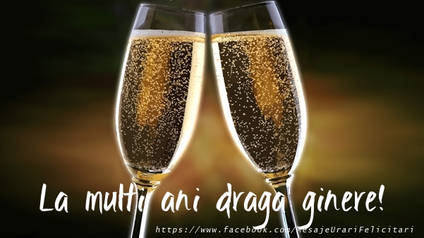 Felicitari de la multi ani pentru Ginere - La multi ani draga ginere!